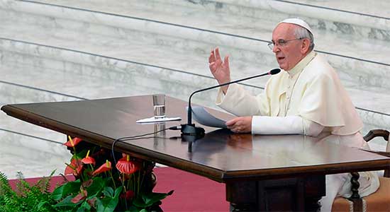 Lee la catequesis del papa Francisco de la audiencia del miércoles 25 de enero