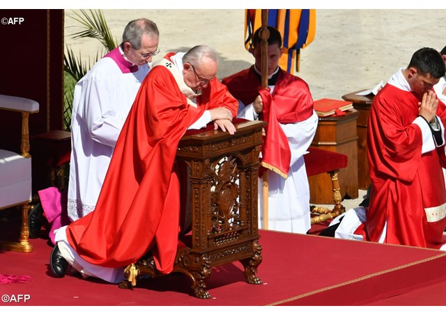 Ángelus: Cercanía del Papa a las víctimas del terrorismo y las guerras