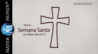 Vivelsemanasanta