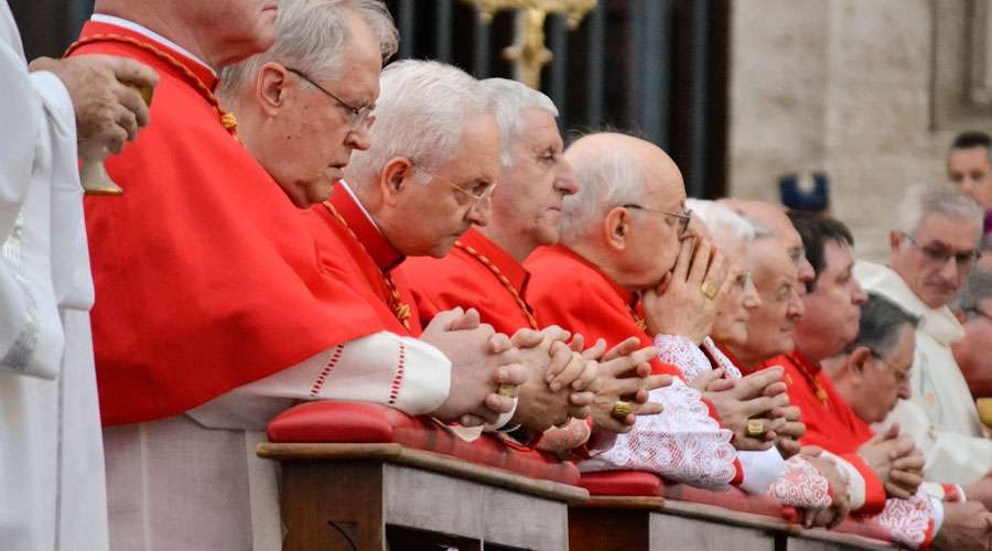 Cómo discurre un día en la vida de un Cardenal