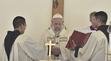 PapaFrancisco_AngelusCamerino_160619_VaticanMediaACI