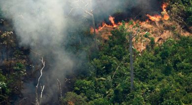 incendioamazonas