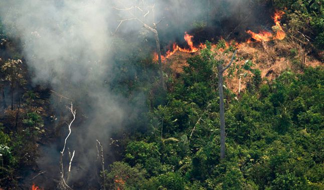 Papa Francisco pide oraciones para controlar incendios en la Amazonía