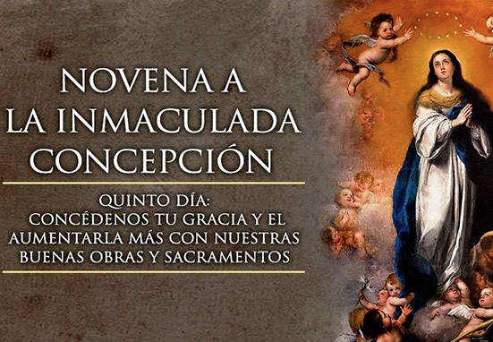 Quinto Día de la Novena a la Inmaculada Concepción