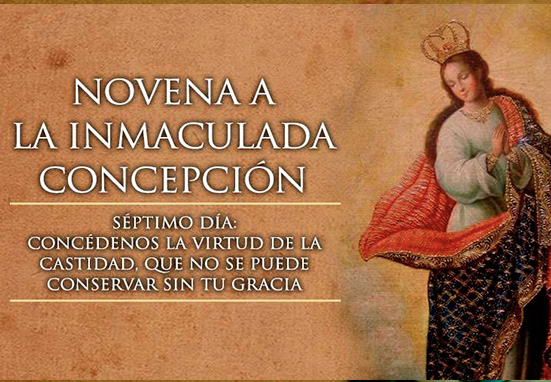 Séptimo Día de la Novena a la Inmaculada Concepción