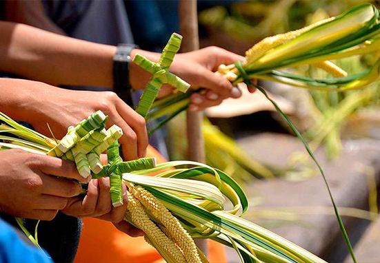 Coronavirus: Cada vez más fieles se suman a esta iniciativa para el Domingo de Ramos