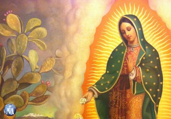 ¿Habrá más peregrinaciones al Santuario de Guadalupe este año?