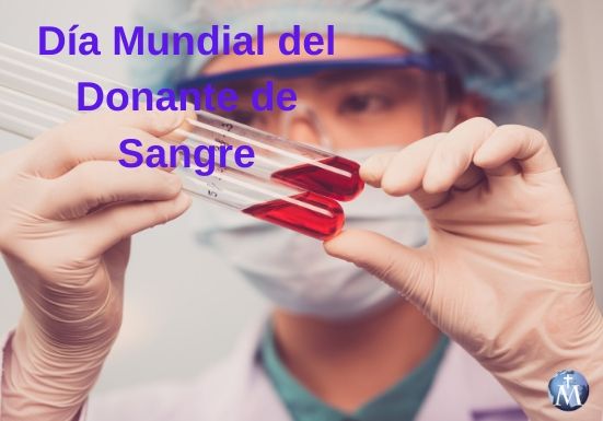 Día Mundial del Donante de Sangre: El Papa invita a ser donante