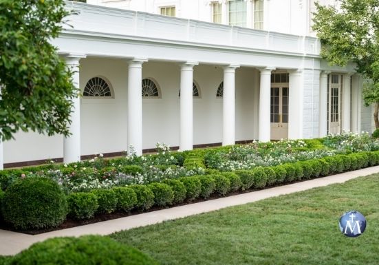 Plantan una rosa “Juan Pablo II” en el jardín de la Casa Blanca