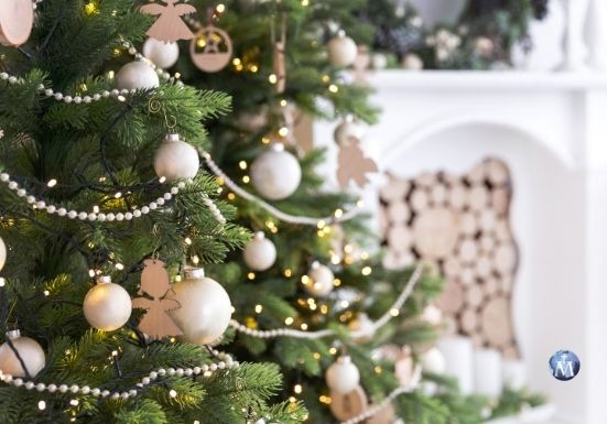 Reza con Mater Mundi la oración de bendición del árbol de Navidad