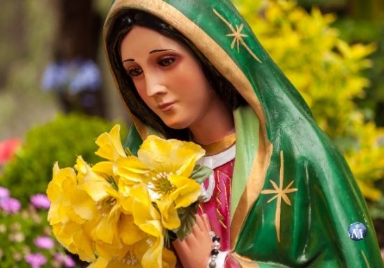 10 prácticas que pueden ayudar a traer a la Virgen María a tu vida