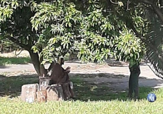 Una curiosa foto de «Jesús» que conmueve a Colombia