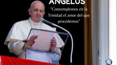 angelus-papa