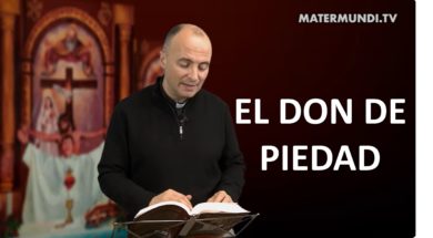 DIA 44 DON DE PIEDAD MATER MUNDI NUEVI PENTECOSTES