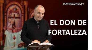 dia 43 nuevo pentecostes matermundi web padre santi